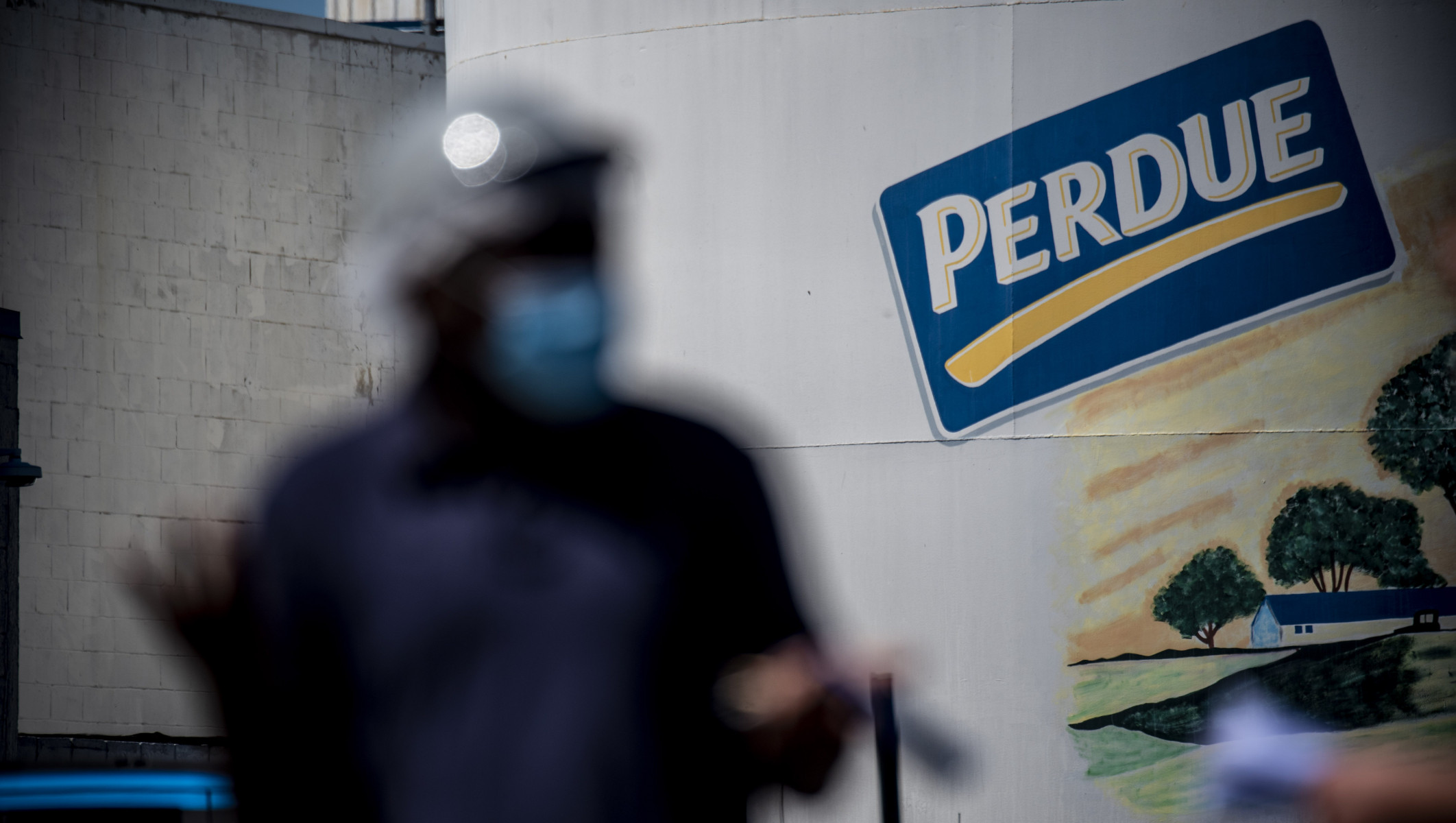 Perdue Foods отзывает более 167 000 фунтов