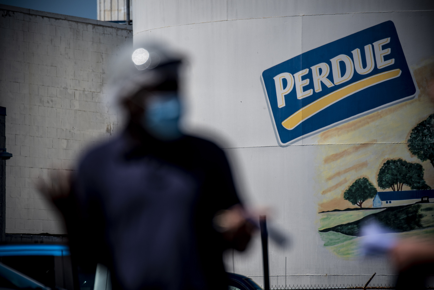 Perdue Foods отзывает более 167 000 фунтов