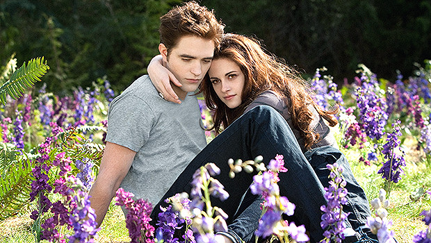 Twilight: новый анимационный сериал на осн