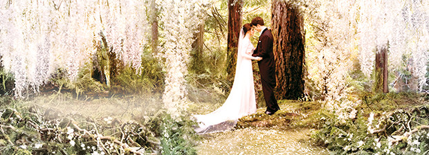 Twilight: новый анимационный сериал на осн