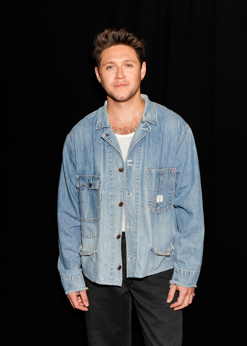 Ниалл Хоран: биография, успех в One Direction