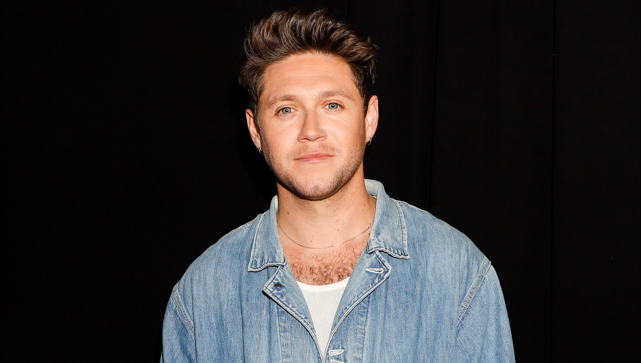 Ниалл Хоран: биография, успех в One Direction