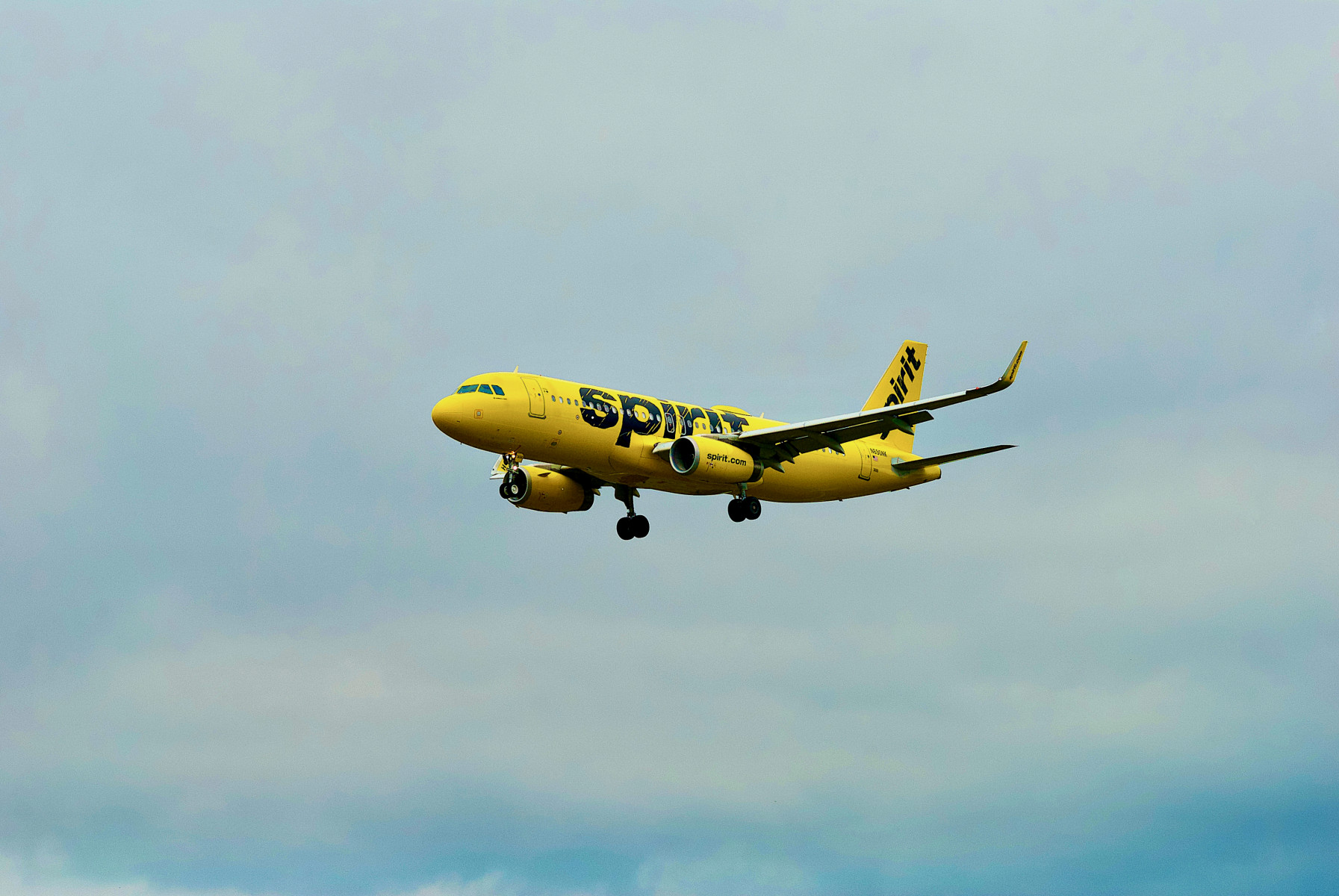 Spirit Airlines объявила банкротство: что это