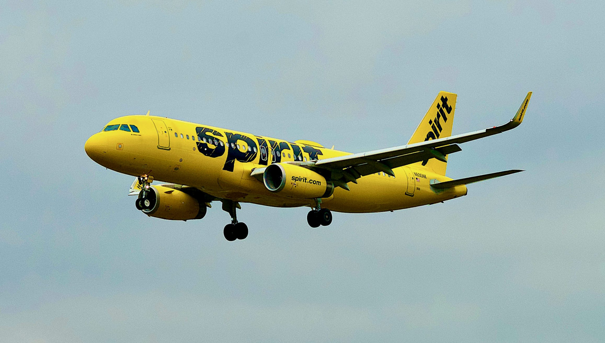 Spirit Airlines объявила банкротство: что это