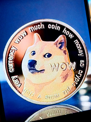 Памяти Kabosu: знаменитый пес из мема Doge с