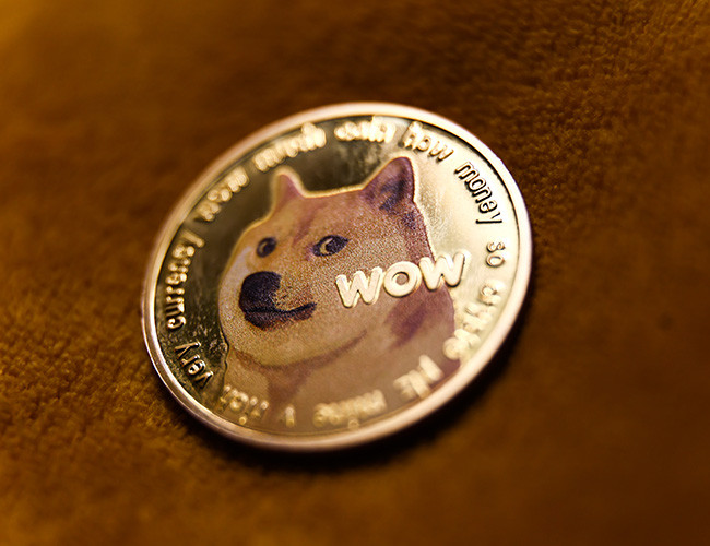 Памяти Kabosu: знаменитый пес из мема Doge с