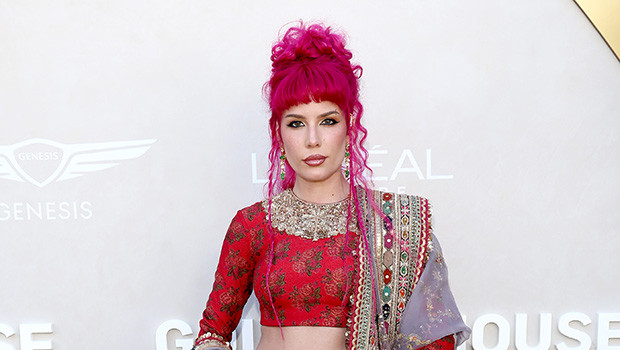 Halsey рассказала о борьбе с секретным за