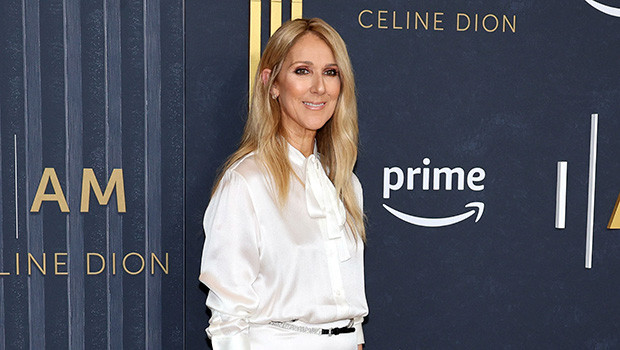 Celine Dion растрогана до слез на премьере